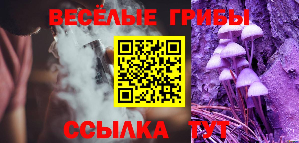 Галлюциногенные грибы мухоморы  Вход с VPN  Гатчина  Псилоцибиновые грибы Psilocybe 